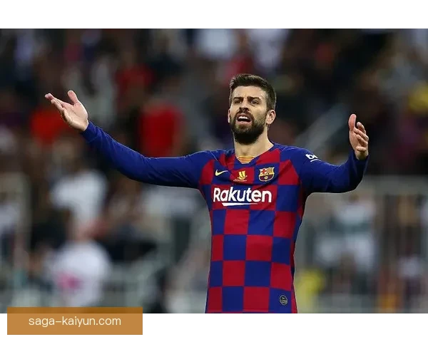 德甲夏季转会解读